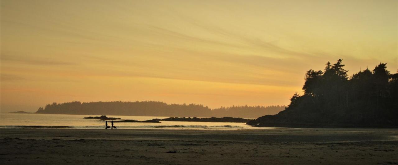 Cobble Wood And Bird Sanctuary Guest Houses Tofino Exterior photo
